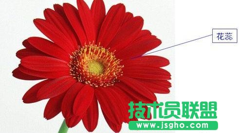 PPT觸發器使用全攻略