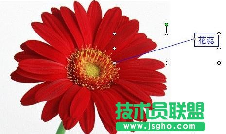 ppt中的觸發器怎么用