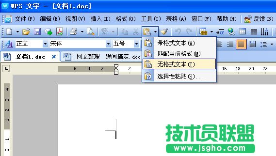 WPS文字快速網上文字規(guī)范化教程