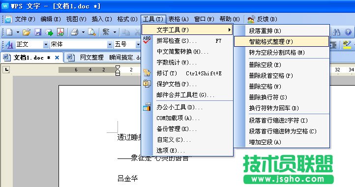 WPS文字快速網上文字規(guī)范化教程