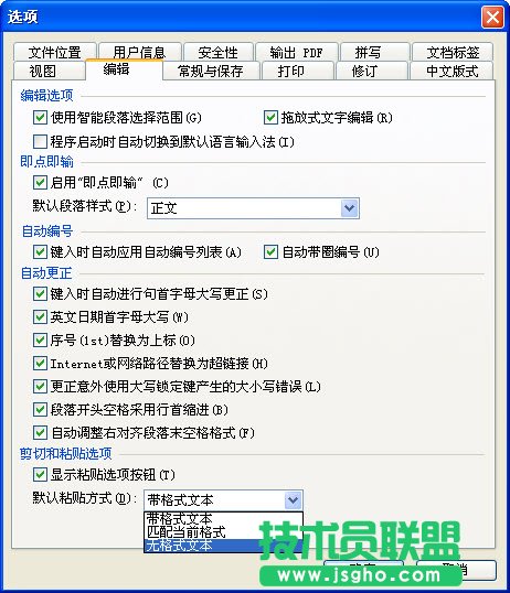 WPS文字快速網上文字規(guī)范化教程
