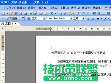 WPS文字如何批量調整文字格式   三聯