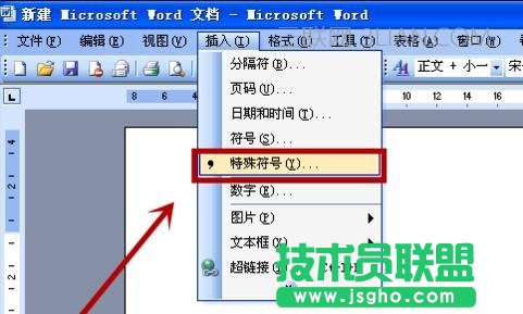 word中如何插入乘除號