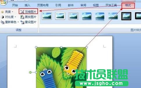 如何解決wps插入圖片不顯示的問題