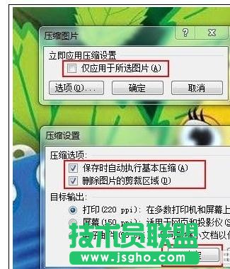 如何解決wps插入圖片不顯示的問題