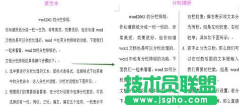 什么是word分欄排版  三聯