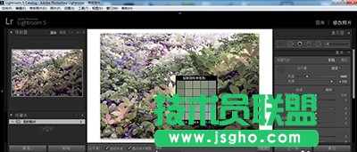 lightroom白平衡怎么調整？   三聯