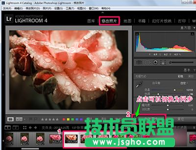 Lightroom怎么批量處理？  三聯