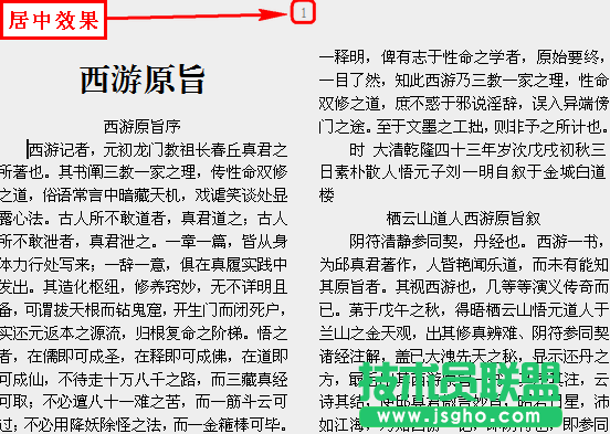 WPS文字頁碼設置教程