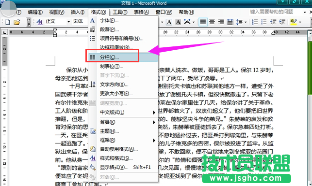 電腦公司XP系統電腦Word分欄的用法