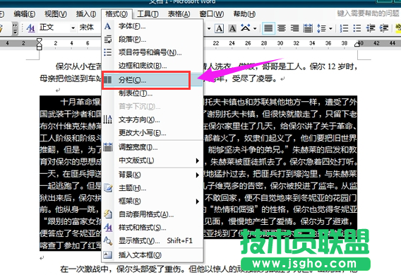 電腦公司XP系統電腦Word分欄的用法(3)