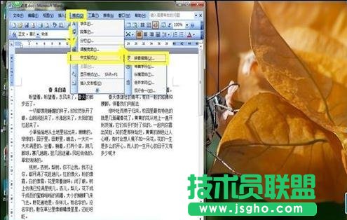 word中如何設(shè)置中文版式 三聯(lián)
