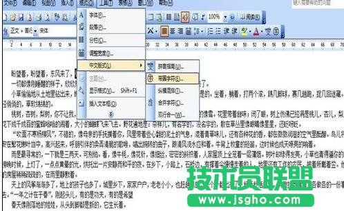 word中如何設(shè)置中文版式
