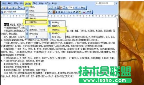 word中如何設(shè)置中文版式
