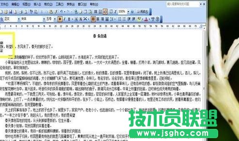 word中如何設(shè)置中文版式