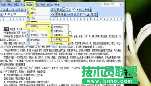 word中如何設(shè)置中文版式