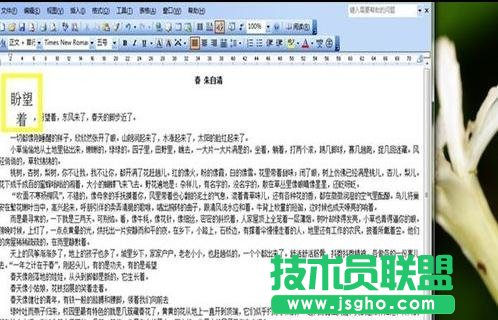 word中如何設(shè)置中文版式