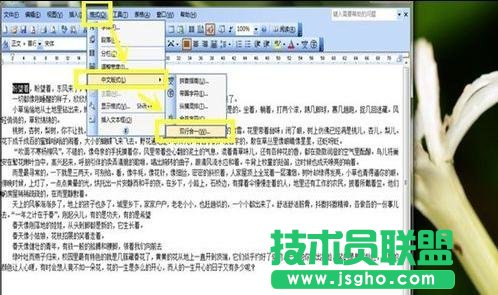 word中如何設(shè)置中文版式