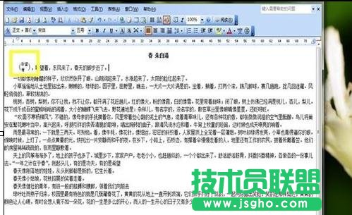 word中如何設(shè)置中文版式