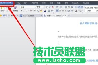 如何去掉wps文字中的小點