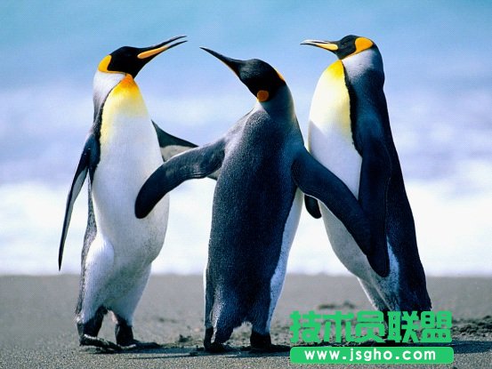 WPS文字用頁眉美化教學文檔教程