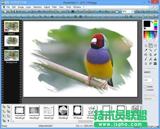 P圖軟件哪個好？