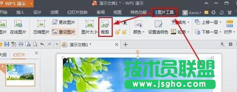 wps演示如何對圖片進行裁剪