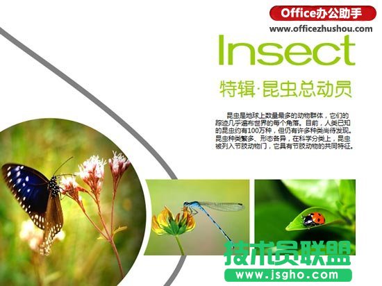 大學生如何制作一份優秀的高大上PPT