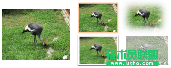 PPT2013自帶的圖片處理功能如何使用 三聯