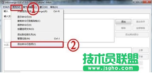 怎樣用MKVToolNix封裝后多出兩個軌道標簽的問題的詳細解答