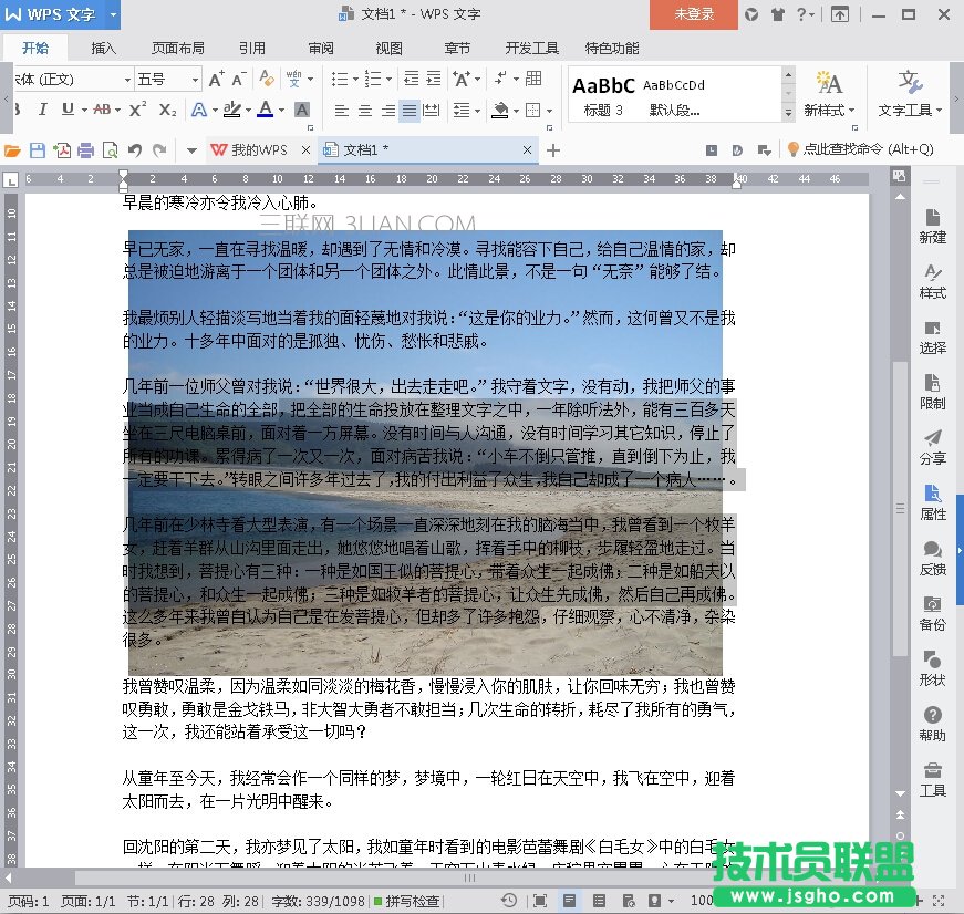 WPS如何選擇工具與隱藏圖片功能？ 三聯(lián)