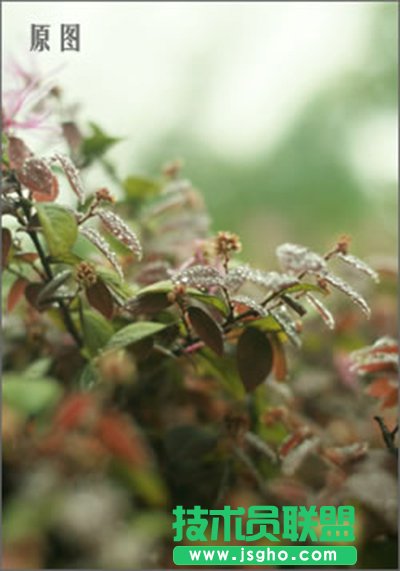 彩影怎么制作浪漫夢境效果 三聯