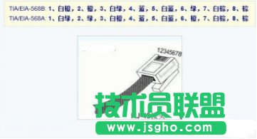 網線接頭順序是什么