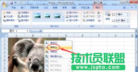 excel表格里的圖片如何保存
