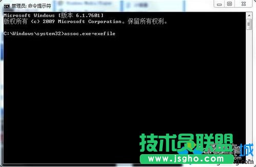 輸入assoc.exe=exefile