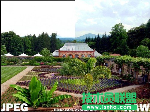 圖解JPEG與RAW的選用法則 三聯