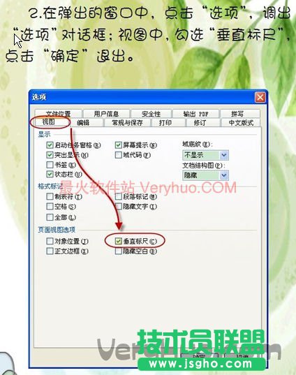 在彈出的窗口中，點(diǎn)擊&lsquo;選項(xiàng)&rsquo;，調(diào)出&lsquo;選項(xiàng)&rsquo;對(duì)話框，視圖中，勾選&lsquo;垂直標(biāo)尺&rsquo;，點(diǎn)擊確定退出。