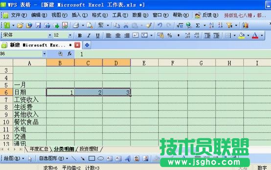 WPS如何打造個(gè)性化記賬本