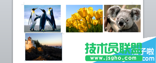 office2010電影膠片效果怎么制作