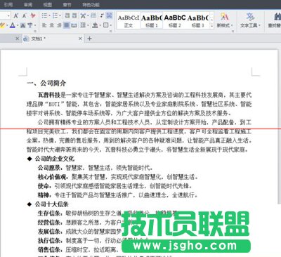 金山WPS文檔加密碼啟動 三聯