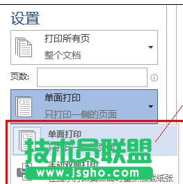 word2013如何進行雙面打印 三聯
