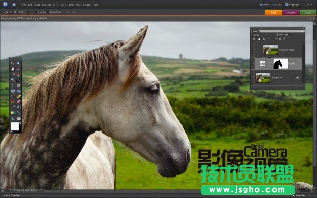 銳化你的野生動物攝影作品