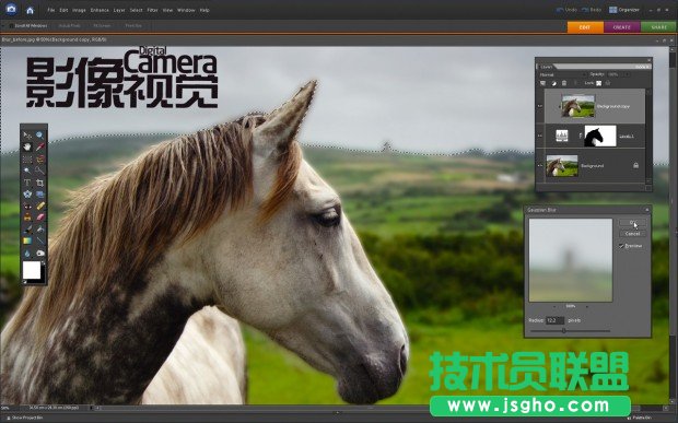 銳化你的野生動物攝影作品