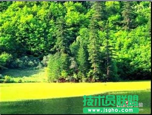 怎樣讓PPT圖片永不停止的循環(huán)播放?