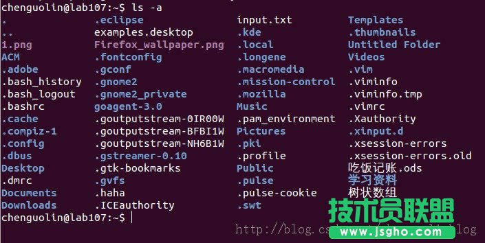 Linux文件系統基本結構