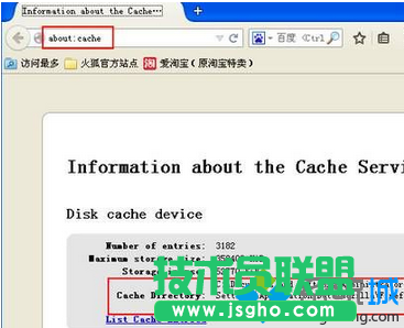 輸入:about:cache
