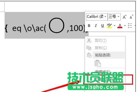 word2013中如何輸入帶圈100