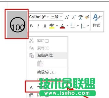 word2013中如何輸入帶圈100