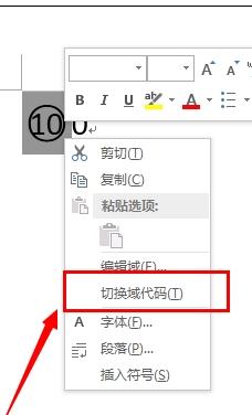 word2013中如何輸入帶圈100