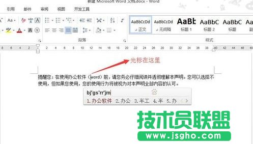 word2013如何使用插入和改寫模式